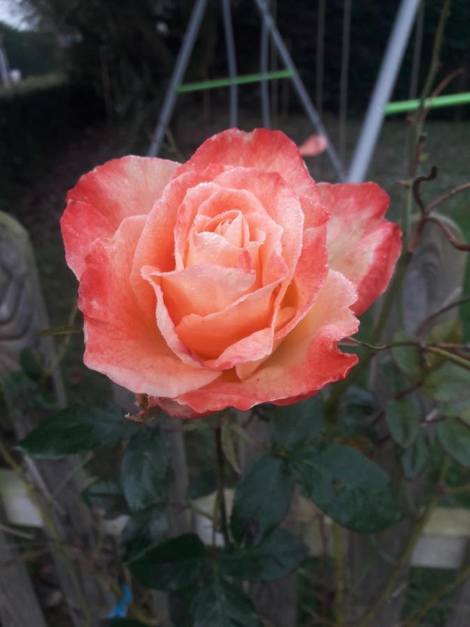 Rose View Cottage Le Cambout Экстерьер фото